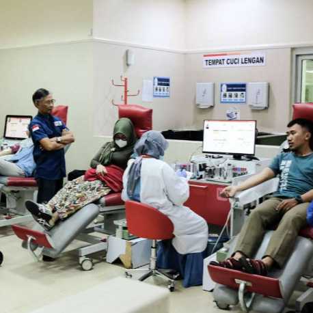 IMGDonec metus orci, malesuada et lectus vitae